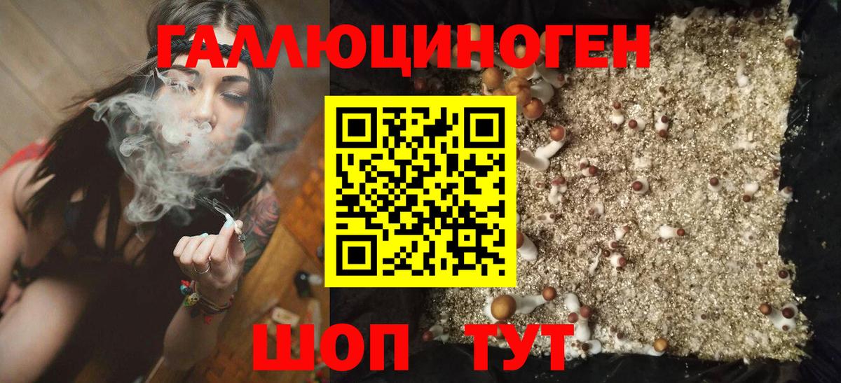 Галлюциногенные грибы MAGIC MUSHROOMS Новосибирск